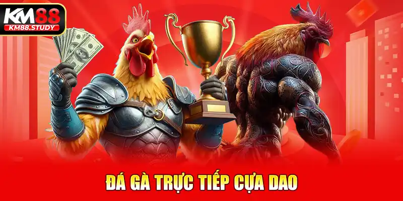 Xem đá gà trực tiếp cựa dao