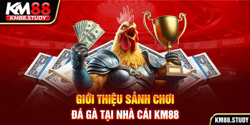 Giới thiệu sảnh chơi đá gà tại nhà cái km88