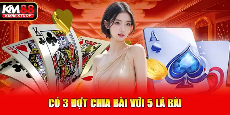 Có 3 đợt chia bài với 5 lá bài