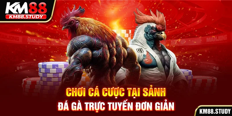 Chơi cá cược tại sảnh đá gà trực tuyến đơn giản