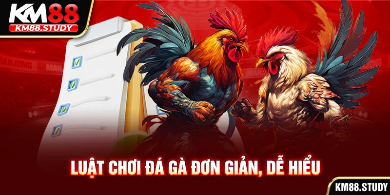 Luật chơi đá gà đơn giản, dễ hiểu