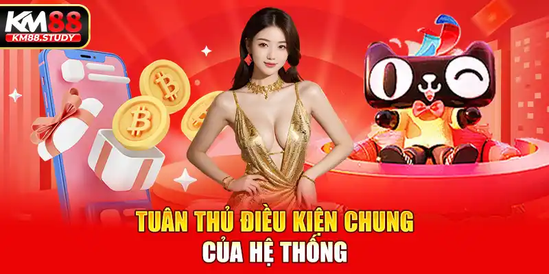 Tuân thủ điều kiện chung của hệ thống