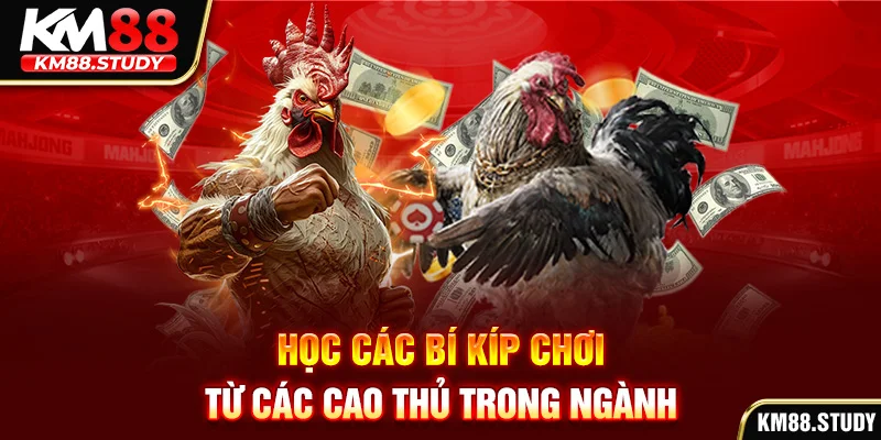 Học các bí kíp chơi từ các cao thủ trong ngành