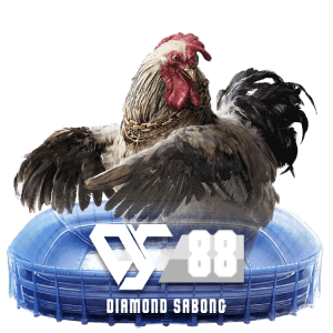 km88 trò chơi mới - đá gà